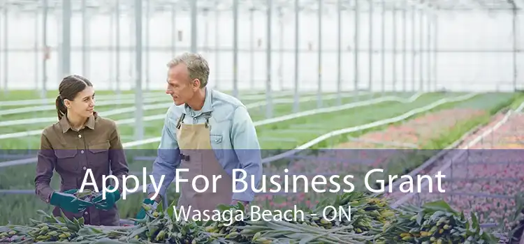 Apply For Business Grant Wasaga Beach - ON